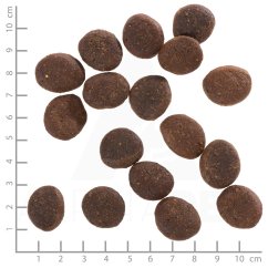 E2H073X0P0W0Q1s7k5g4N3j8V817J1S4